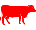 BÒ