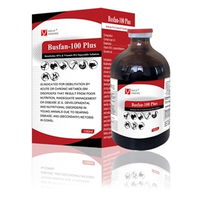 BUSFAN-100 PLUS | AT PLUS JSC, busfan 100 plus at plus jsc