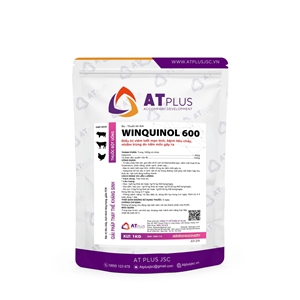 WIN QUINOL 600 | AT PLUS JSC, win quinol 600 at plus jsc
