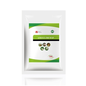 AMOXY-500 WSP | AT PLUS JSC, amoxy 500 wsp at plus jsc