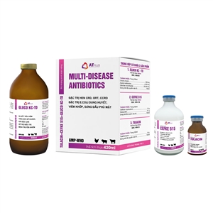 MULTI-DISEASE ANTIBIOTICS | AT PLUS JSC, multi disease antibiotics at plus jsc