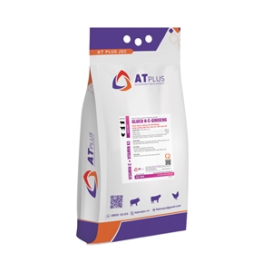 GLUCO K-C-GINSENG | AT PLUS JSC, gluco k c ginseng at plus jsc