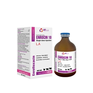 ENROCIN 10  | AT PLUS JSC, enrocin 10 at plus jsc