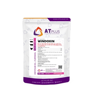 WINDOXIN | AT PLUS JSC, windoxin at plus jsc