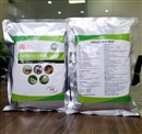 AMOXY-500 WSP  | AT PLUS JSC, amoxy 500 wsp at plus jsc