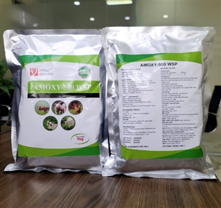 AMOXY-500 WSP  | AT PLUS JSC, amoxy 500 wsp at plus jsc